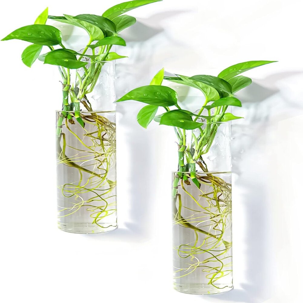 Home decor creative 2pcs